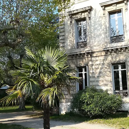 Les Palmiers Mauves